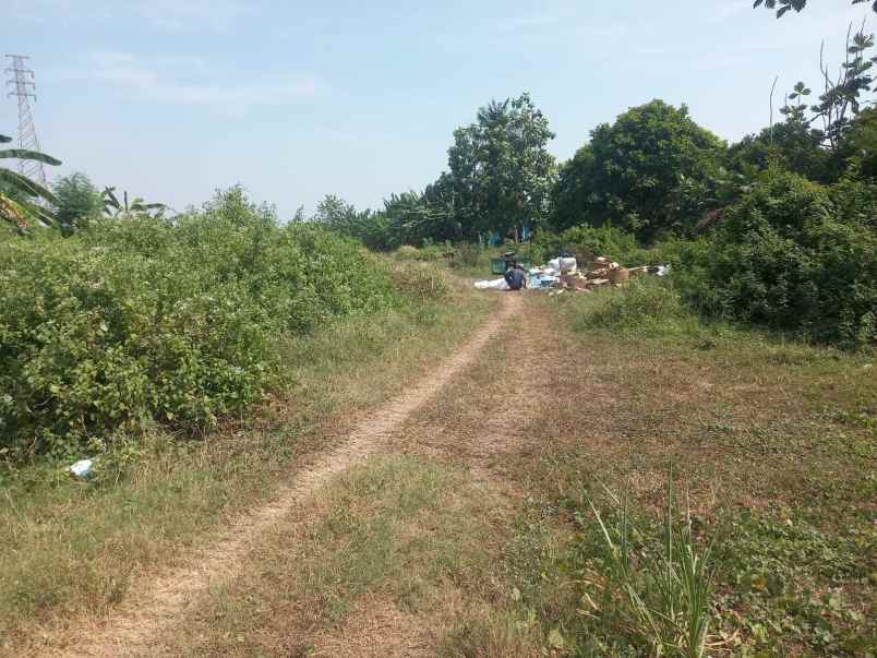 tanah pintu masuk kota demak pantura semarang demak