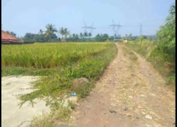 tanah sawah dijual di pancalang kab kuningan