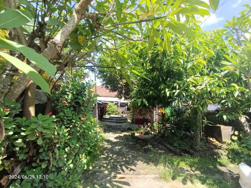 tanah siap bangun 10 menit dari canggu bali