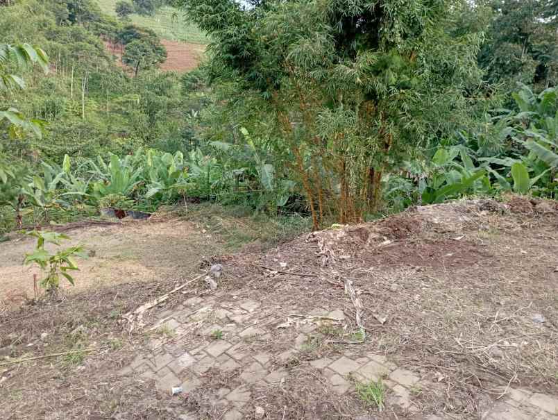 tanah siap huni bojongkoneng bandung