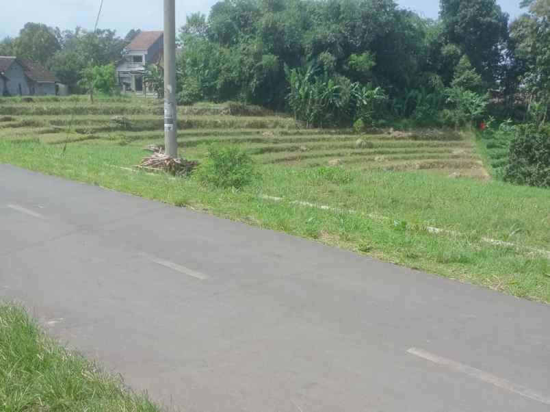 tanah subur 1370m cocok untuk kebun karanganyar