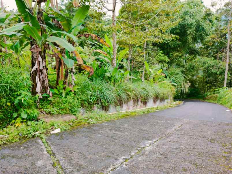 Tanah Strategis Dibangun Villa Tawangmangu Karanganyar