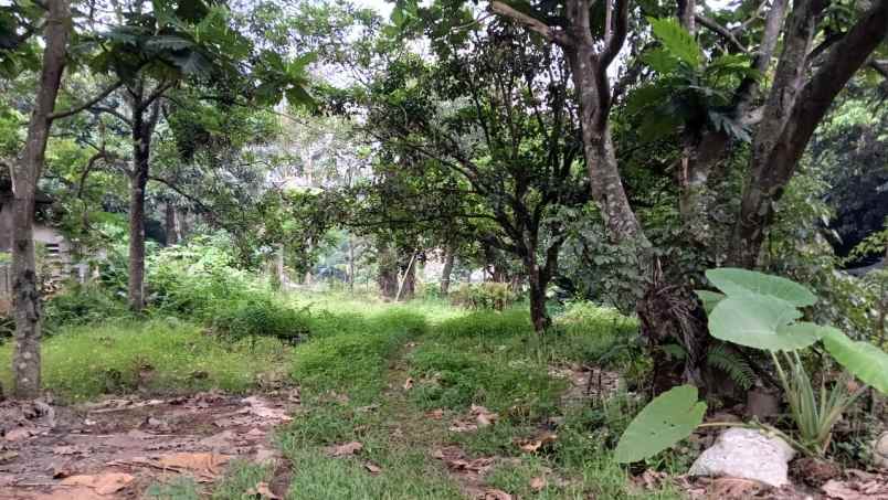 tanah untuk perumahan di citayam bogor