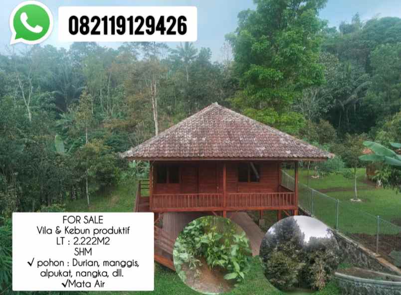 vila kebun produktif punya mata air ciater subang