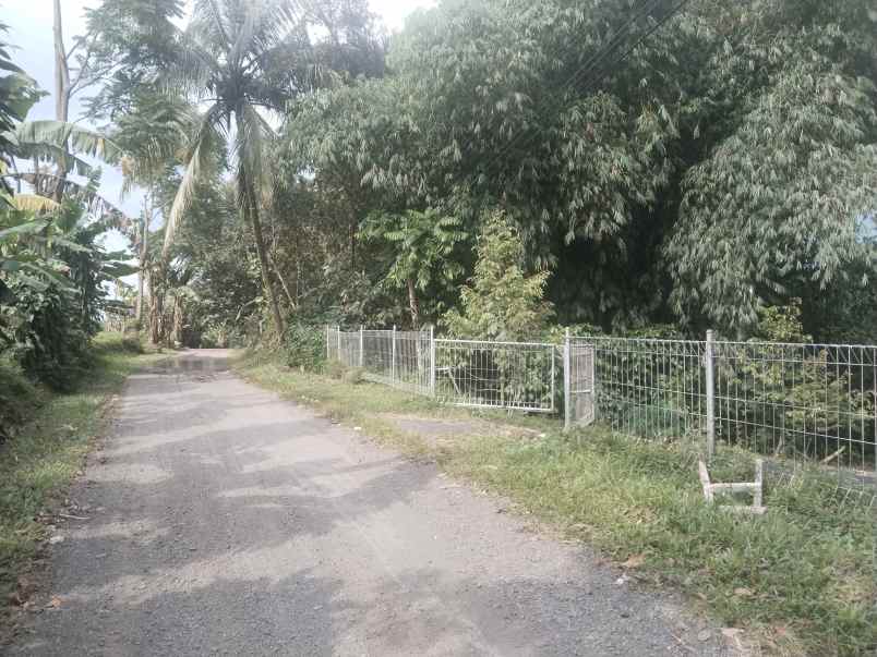 vila kebun produktif punya mata air ciater subang