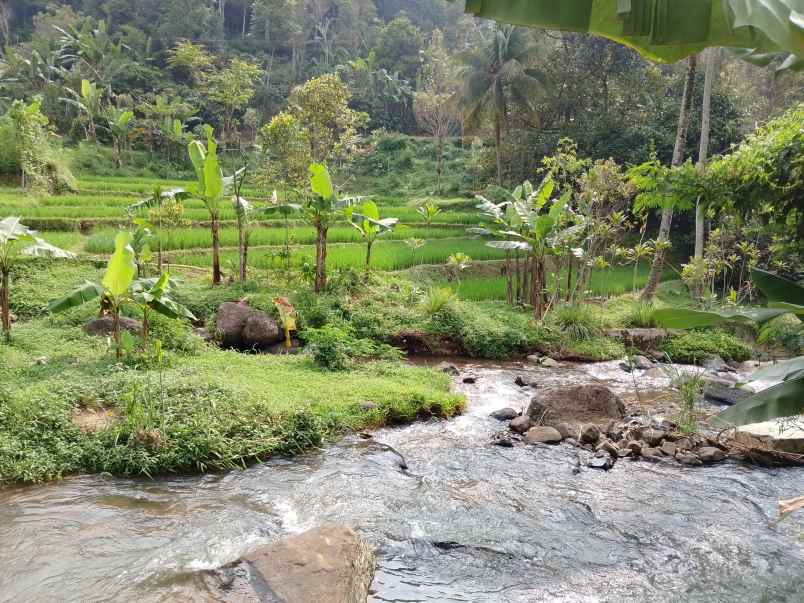vila kolam ikan dekat sungai view bagus