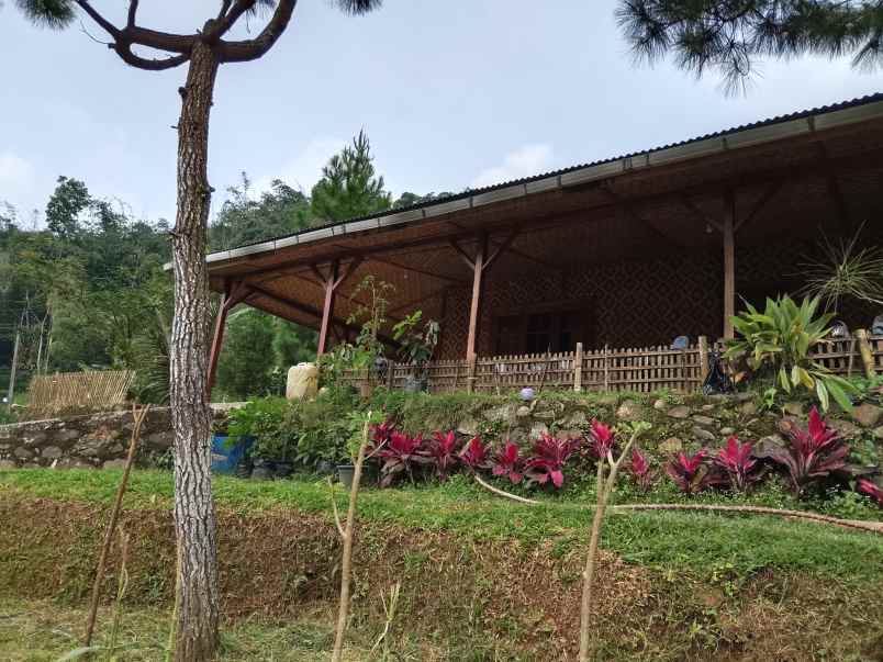 vila kolam ikan dekat sungai view bagus