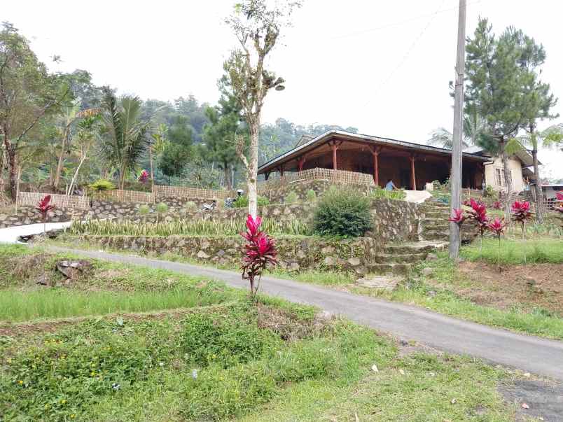 vila kolam ikan dekat sungai view bagus