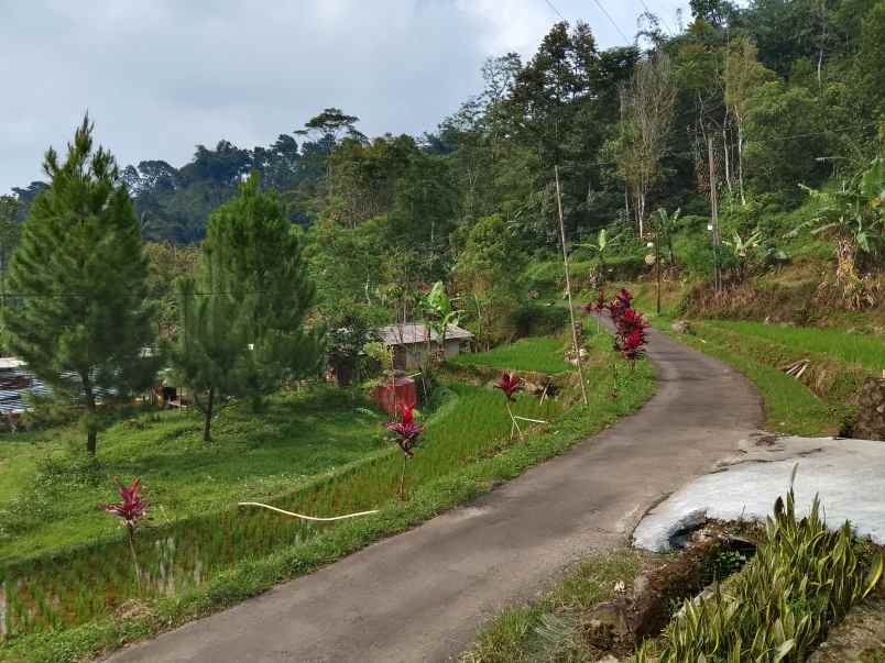 vila kolam ikan dekat sungai view bagus