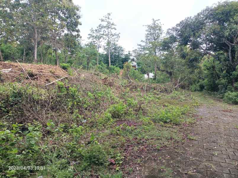 yellow zone land in belimbing sari pecatu for lease