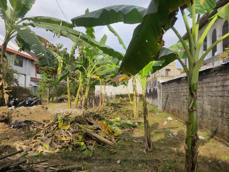 area kampus ugm cocok investasi