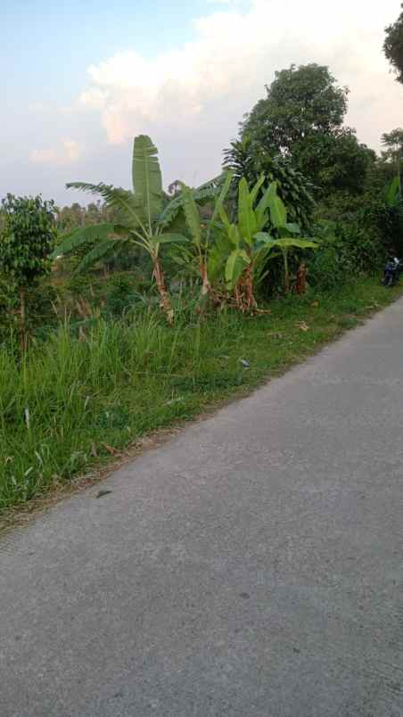 cijeruk bogor tajur halang tanah best view