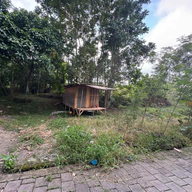 dijual 1 5 are jl tumbak bayuh pererenan mengwi badung