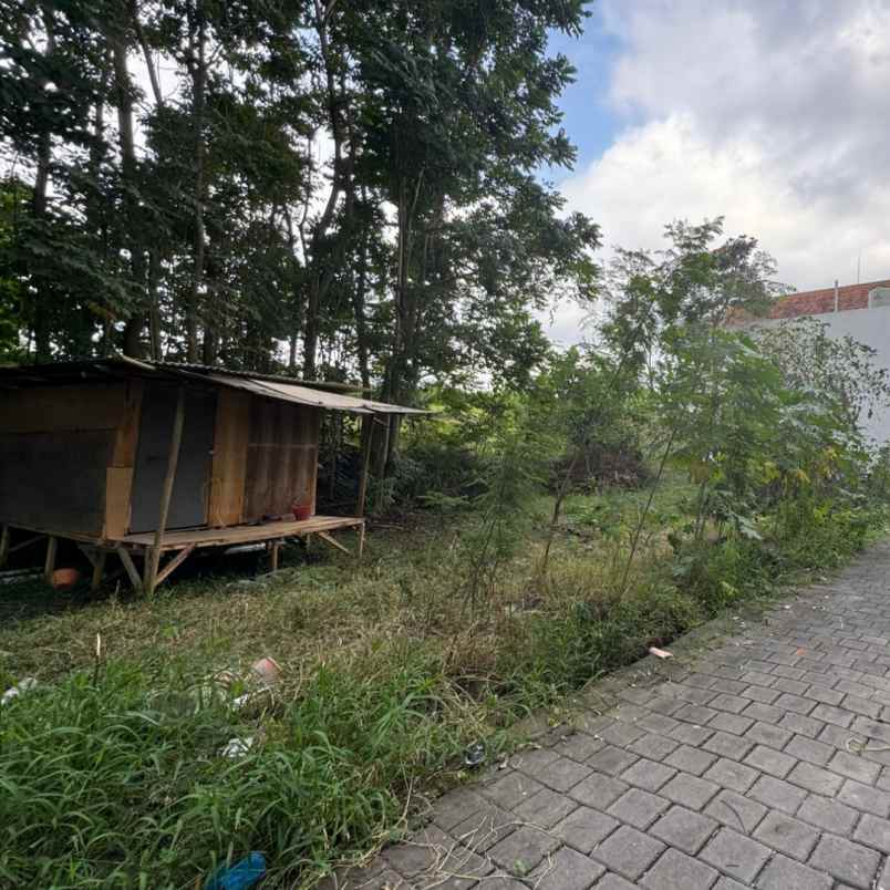 dijual 1 5 are jl tumbak bayuh pererenan mengwi badung