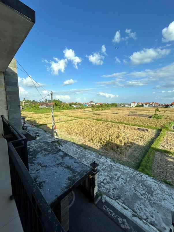 dijual rumah 2 lantai view sawah di cekomaria denpasar