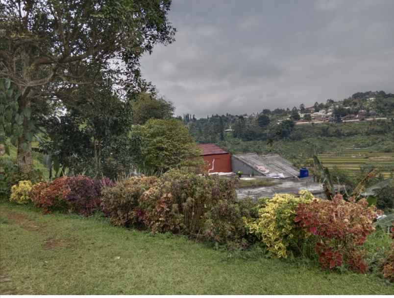 dijual rumah cipayung puncak jawa barat