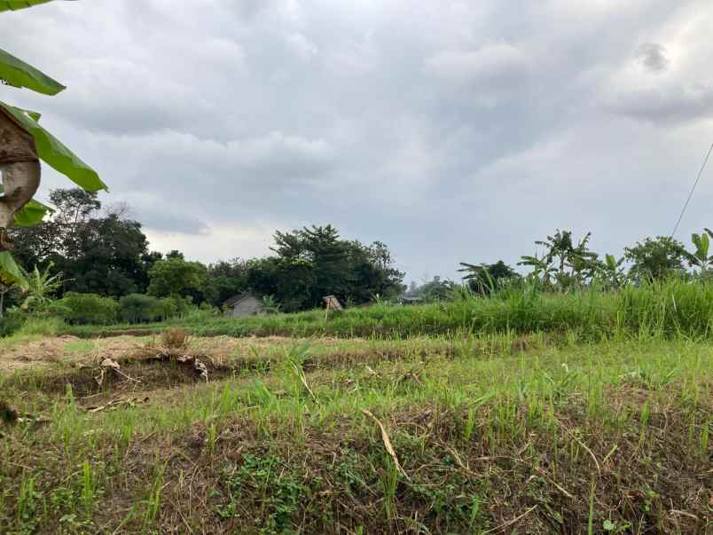 dijual rumah dan ruko mangku jl palagan siap pakai