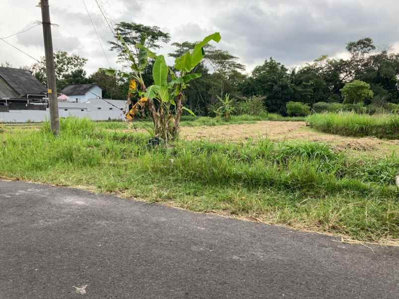 dijual rumah dan ruko mangku jl palagan siap pakai