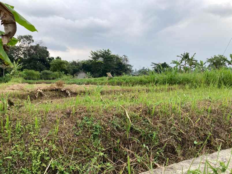 dijual rumah dan ruko mangku jl palagan siap pakai