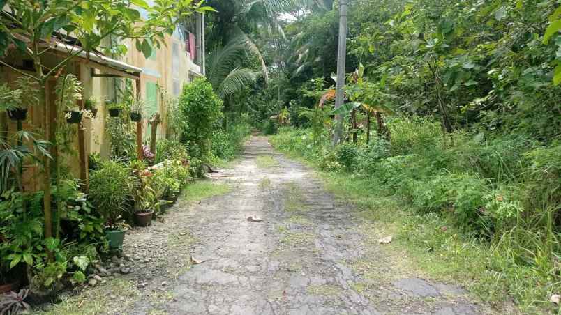 dijual rumah jalan wates purworejo