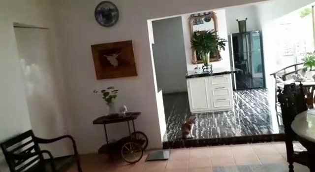 dijual rumah jl inpres raya jakarta timur