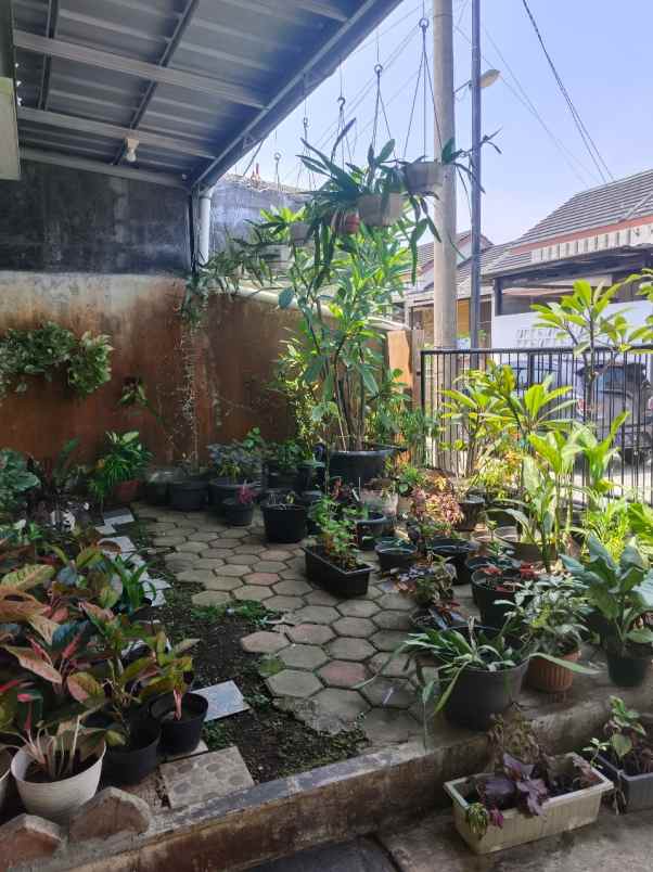 dijual rumah jl kencana cilebut kota bogor