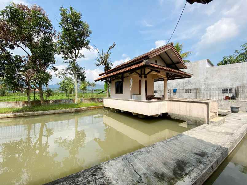 dijual rumah jl pelabuhan ii kel