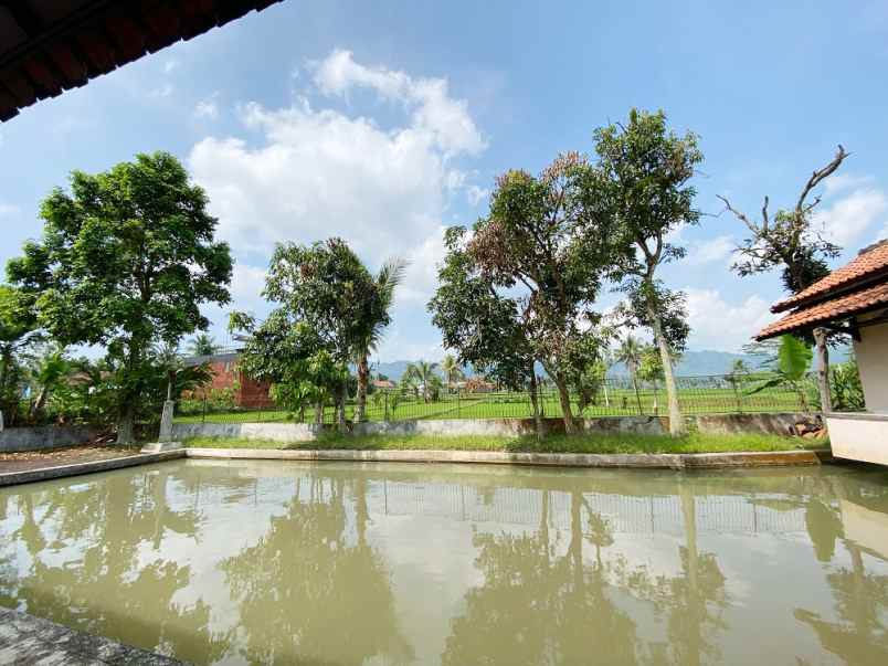 dijual rumah jl pelabuhan ii kel