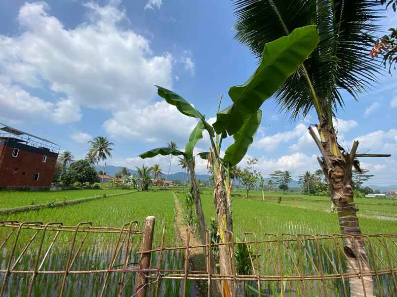 dijual rumah jl pelabuhan ii kel