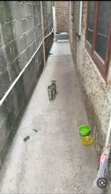 dijual rumah jl warung ayu kamp kebalen