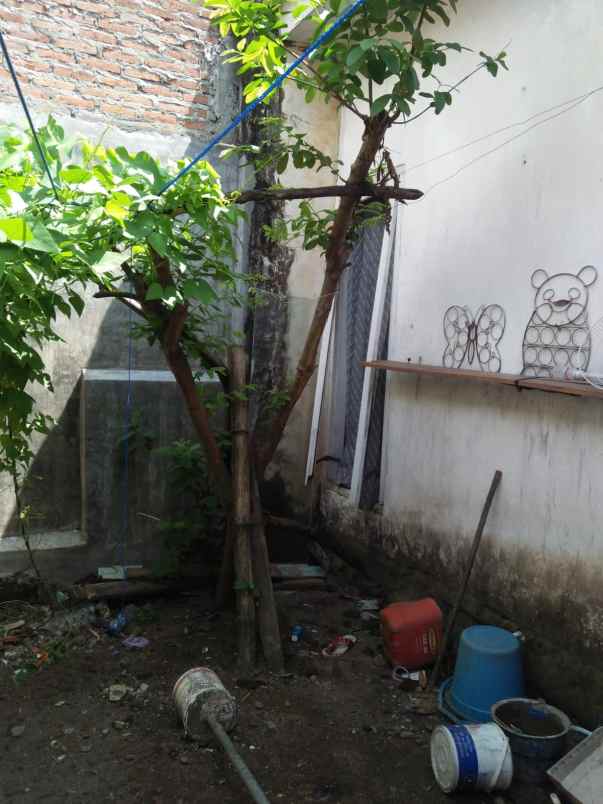 dijual rumah kel betet