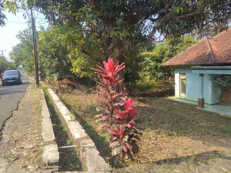 dijual rumah posisi strategis pinggir jalan raya desa