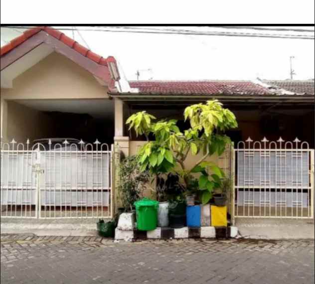 dijual rumah sutorejo tengah