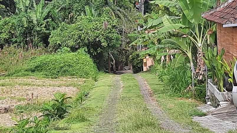 dijual sebidang tanah kosong di nyanyi tabanan bali