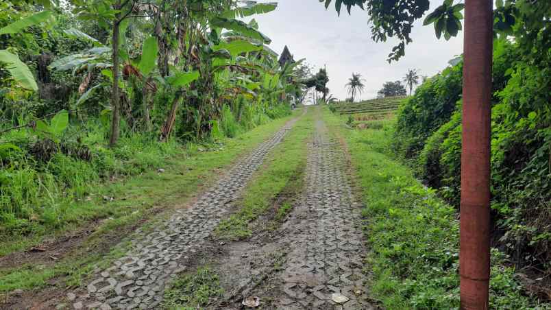 dijual sebidang tanah kosong di nyanyi tabanan bali