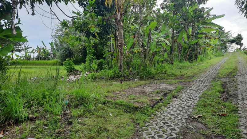 dijual sebidang tanah kosong di nyanyi tabanan bali