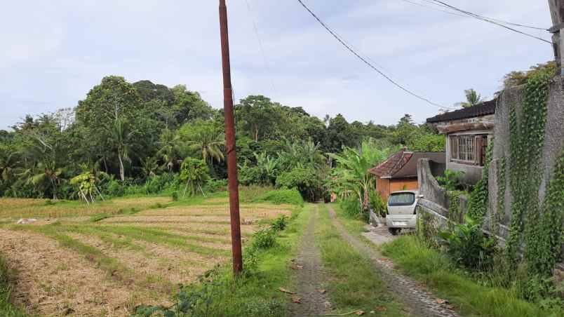 dijual sebidang tanah kosong di nyanyi tabanan bali