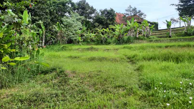 dijual sebidang tanah kosong di nyanyi tabanan bali