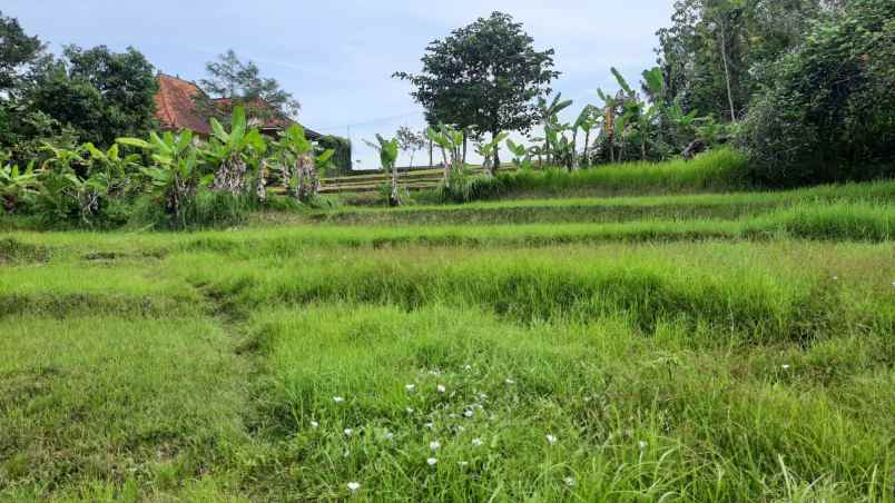 dijual sebidang tanah kosong di nyanyi tabanan bali