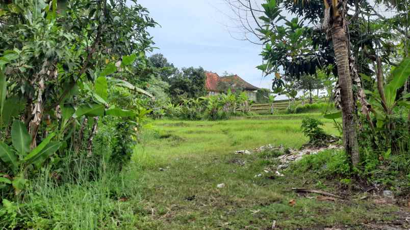 dijual sebidang tanah kosong di nyanyi tabanan bali