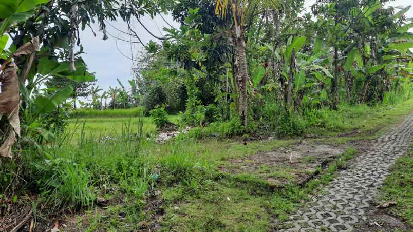 dijual sebidang tanah kosong di nyanyi tabanan bali