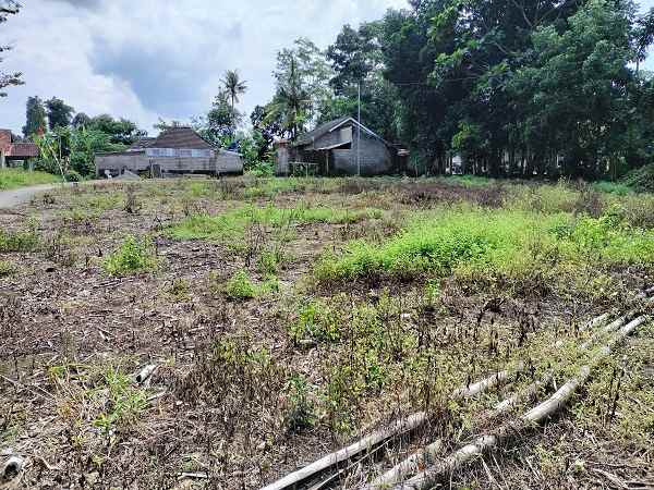 dijual tanah balungan margokaton