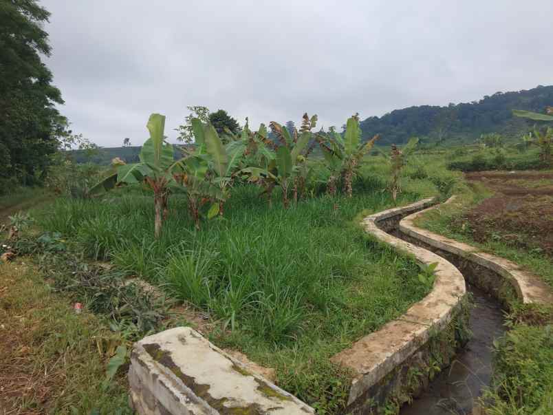 dijual tanah bojong cilimus kuningan