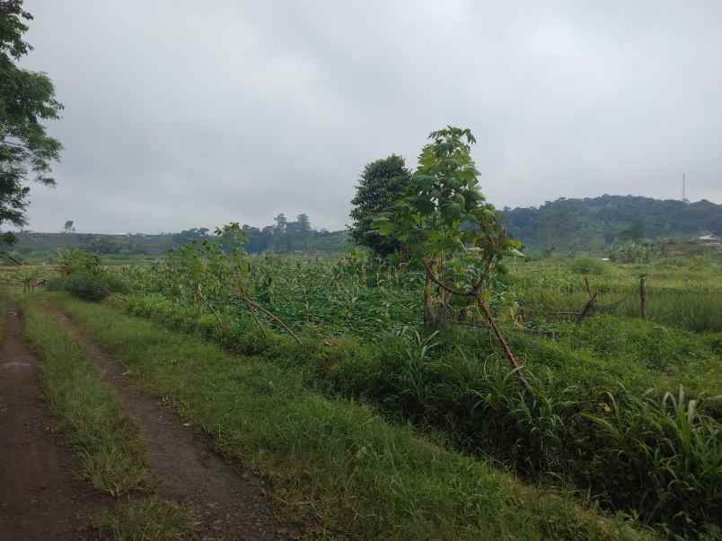 dijual tanah bojong cilimus kuningan