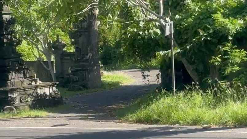 dijual tanah bonian selemadeg barat