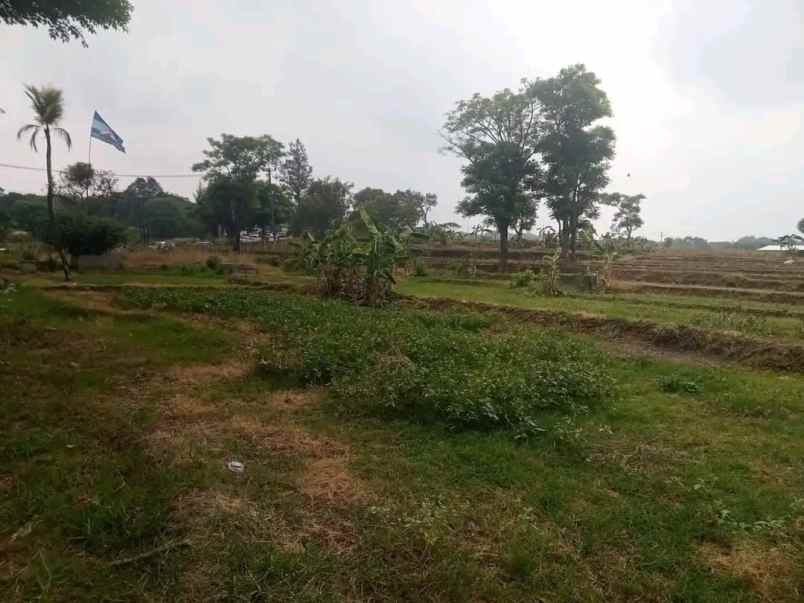 dijual tanah ciperna