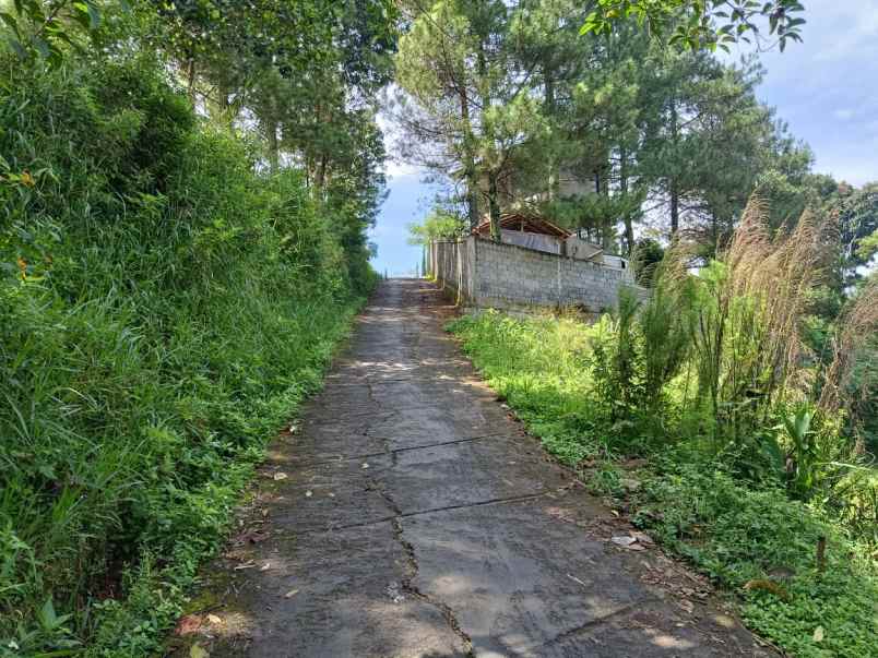 dijual tanah citra green dago