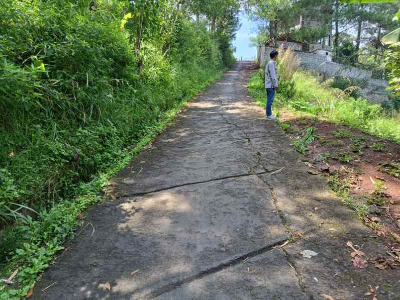 dijual tanah citra green dago