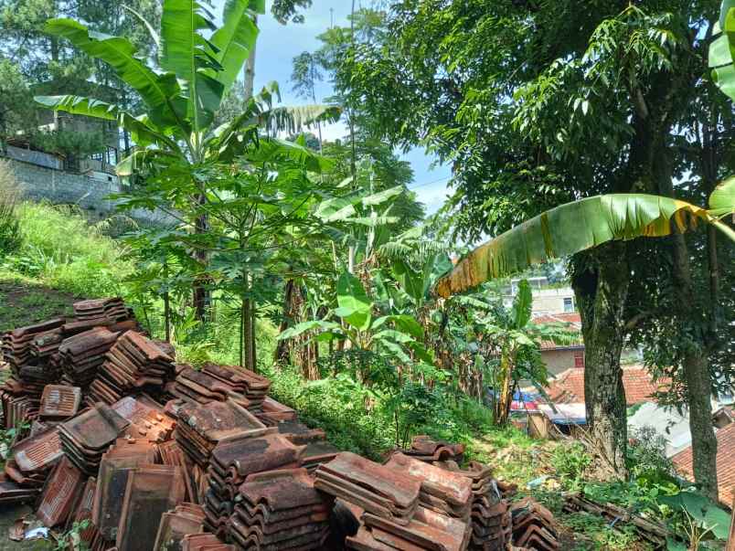 dijual tanah citra green dago