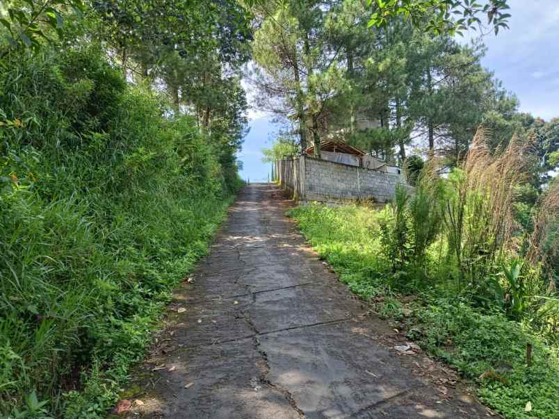 dijual tanah citra green dago